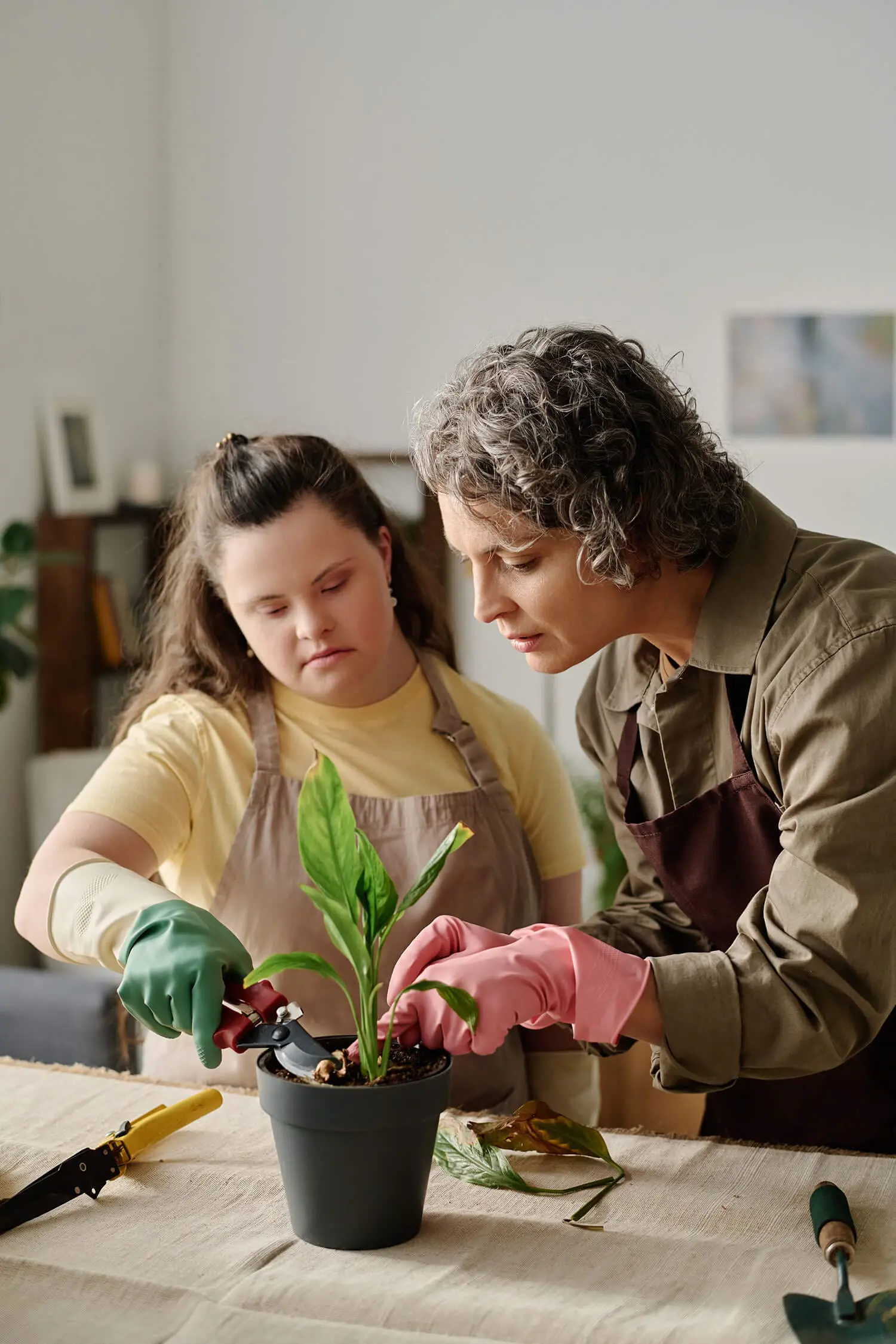 Two people gardening indoors. The young woman with long hair, in a yellow shirt and green gloves, trims a plant while an older person with curly hair, wearing a brown shirt and pink gloves, assists her. Their teamwork, reminiscent of disability care services' supportive nature, shows in their focused dedication.